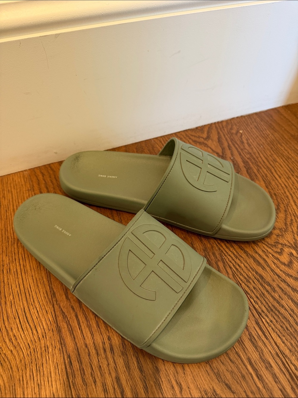 Anine Bing Olive Slide Sandals